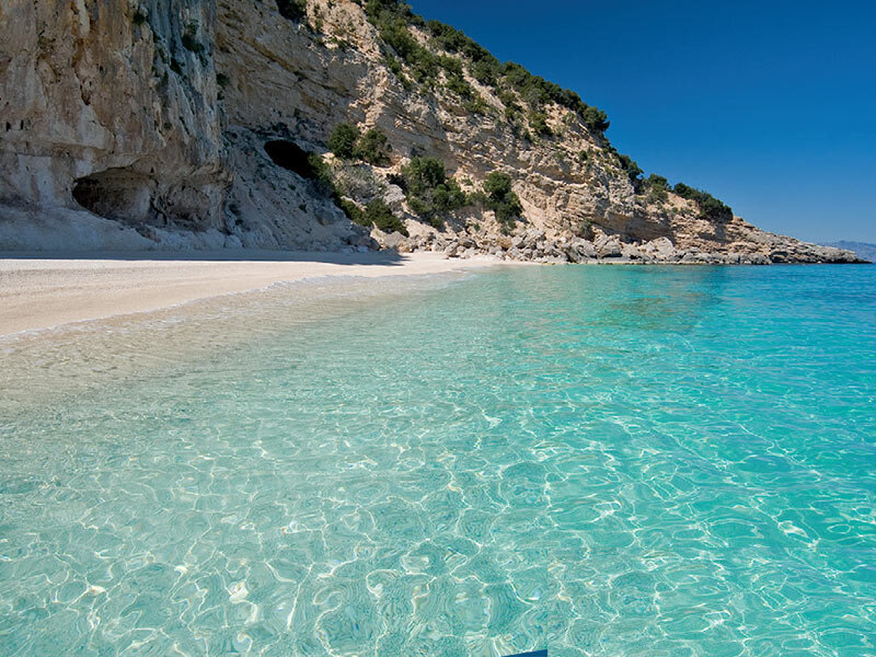 Gabbiani acqua